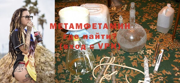 крисы Абаза