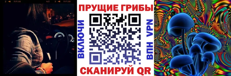 дарк нет Telegram  Бийск  Галлюциногенные грибы MAGIC MUSHROOMS 